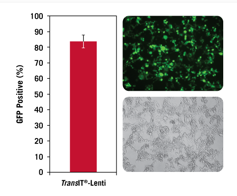 【Mirus新品推荐】TransIT®-Lenti Transfection Reagent——重组慢病毒生产的理想选择