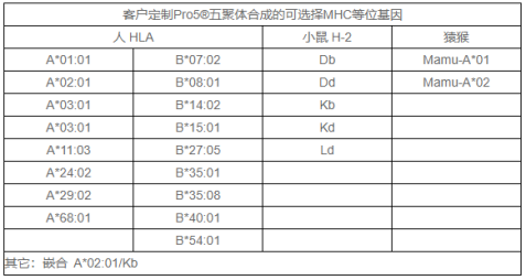 Proimmune Pro5® MHC Class I Pentamers定制合成
