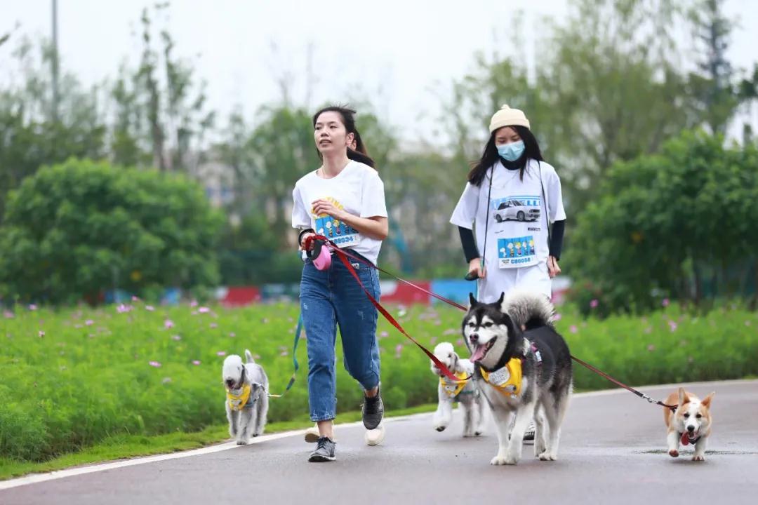 探索資訊 | 2021史努比歡樂跑嘉年華【成都站】；報名專屬福利有！！