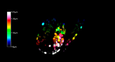 Lattice Lightsheet 7 晶格层光显微镜