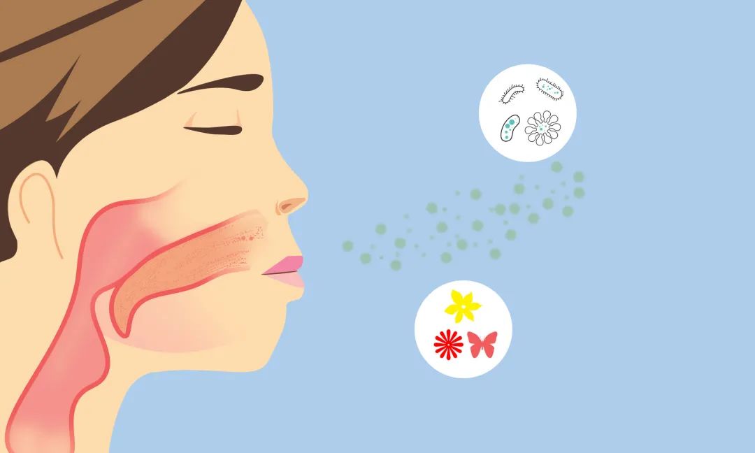 世界过敏性疾病日 | 炎炎夏日，怎么预防过敏性鼻炎