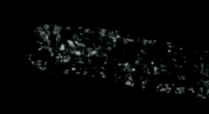 Lattice Lightsheet 7 晶格层光显微镜
