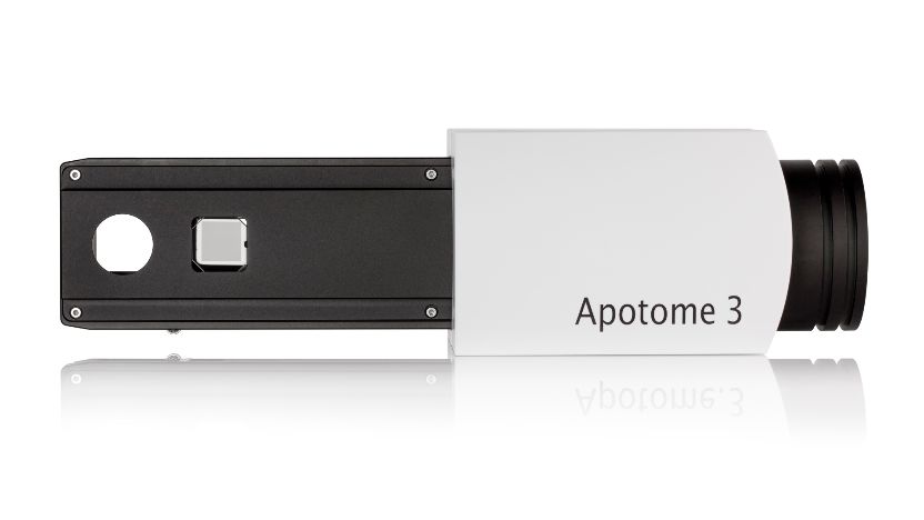Apotome 3 宽场显微镜荧光成像的光学切片
