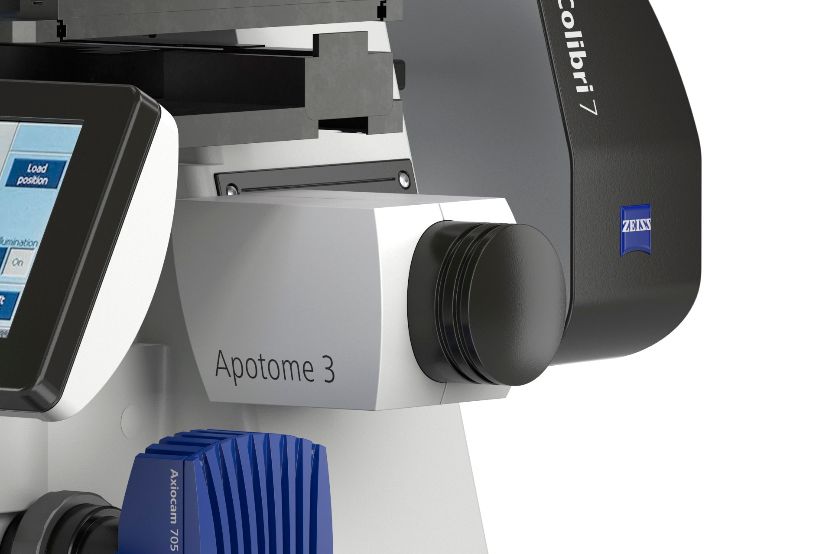 Apotome 3 宽场显微镜荧光成像的光学切片