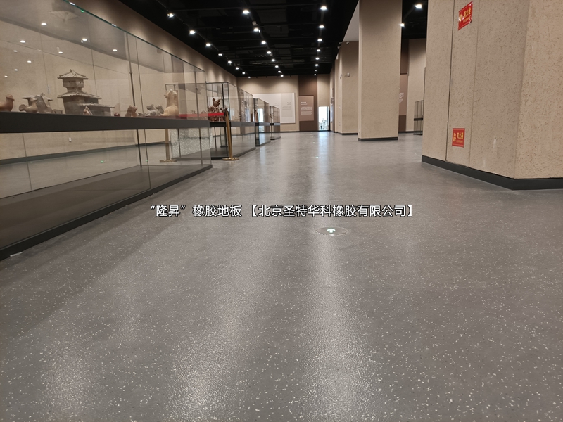 河南省南阳市科学技术馆橡胶地板案例实图