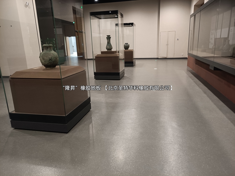 河南省南阳市科学技术馆橡胶地板案例实图