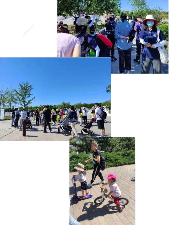 创美奇托育萌宝们的一次大自然探秘之旅 创美奇托育萌宝们的一次大自然探秘之旅