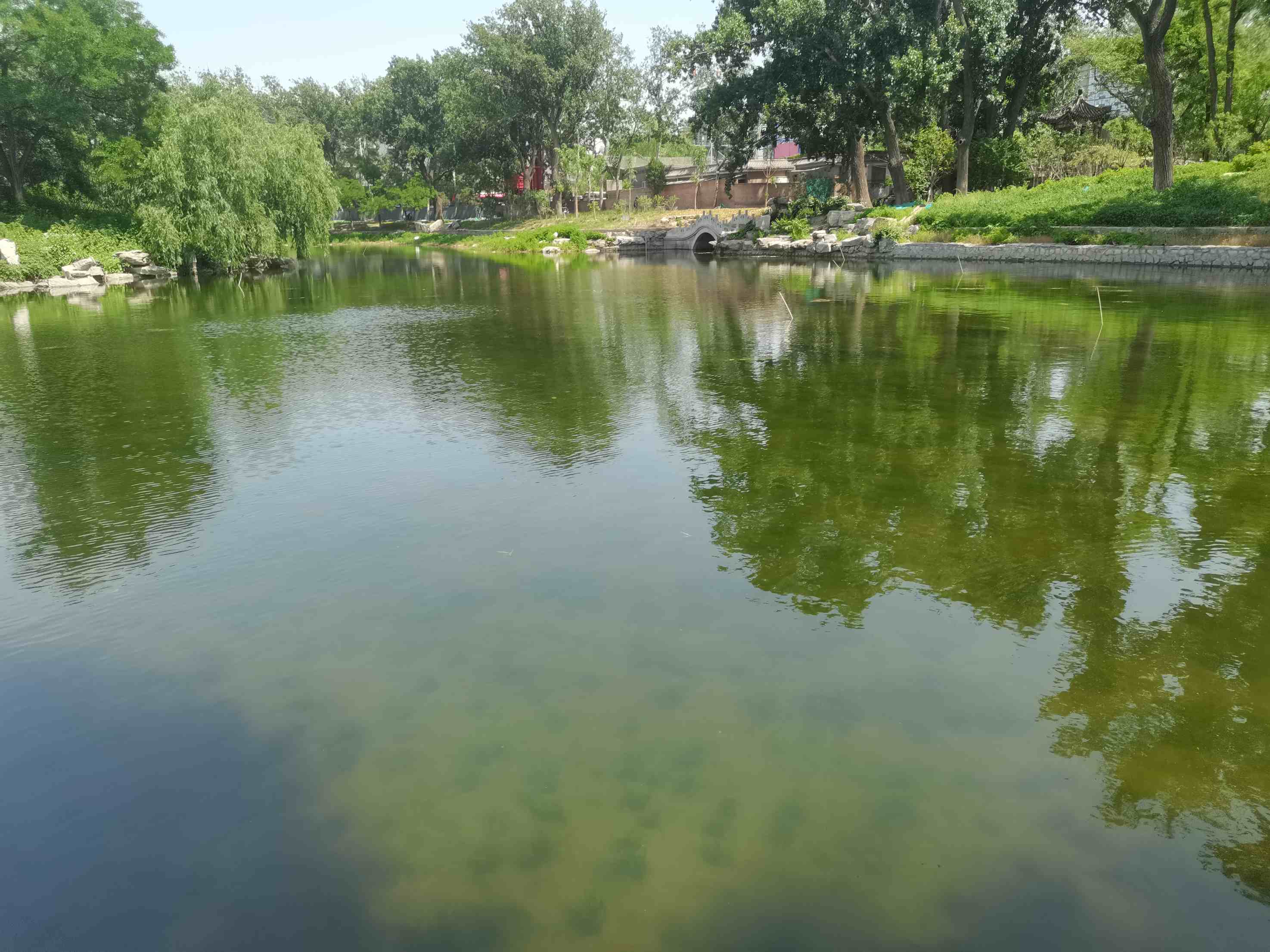 北京市龙潭三湖生态手段治理水体效果显著 北京市龙潭三湖生态手段治理水体效果显著