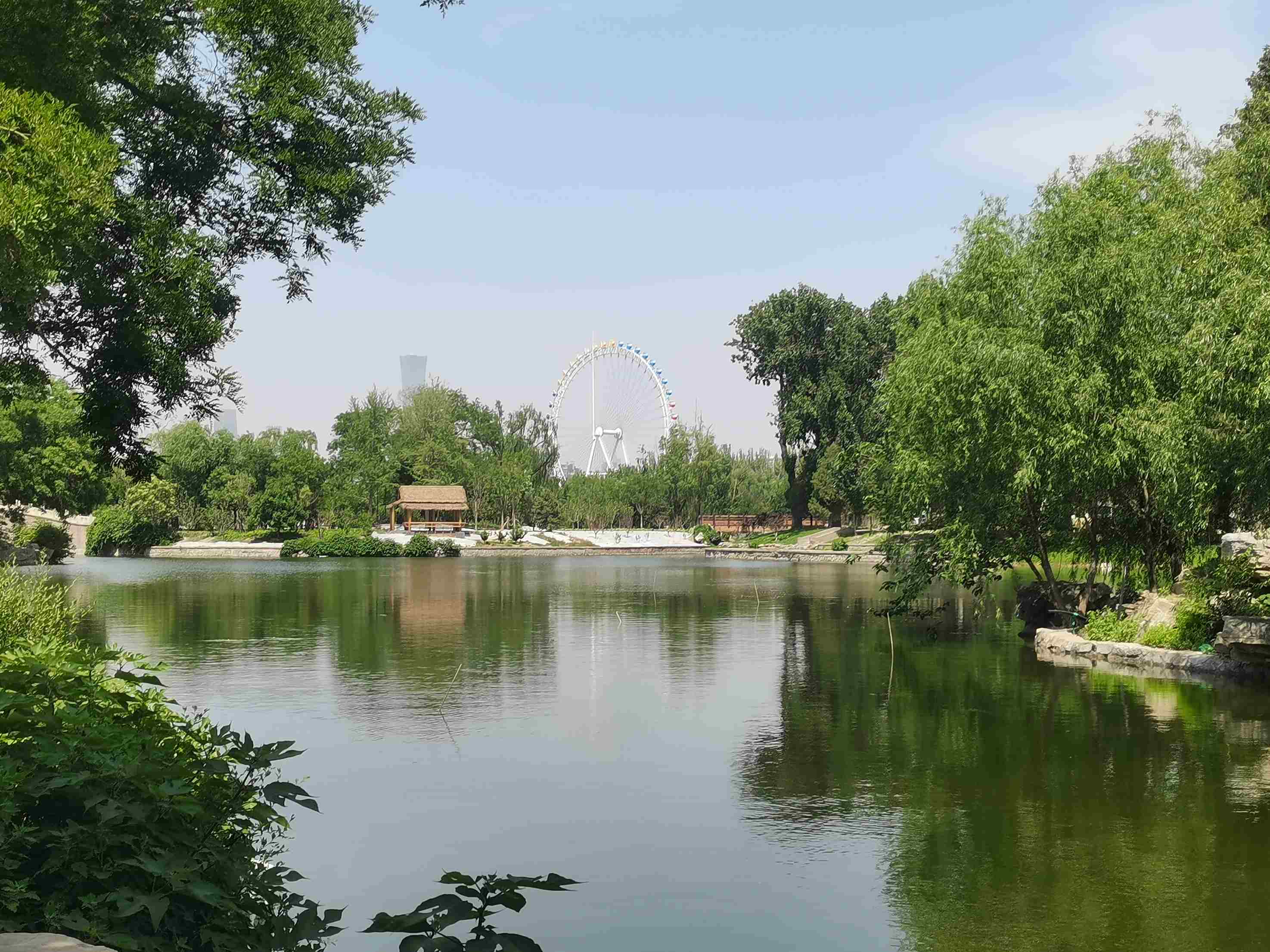 北京市龙潭三湖生态手段治理水体效果显著 北京市龙潭三湖生态手段治理水体效果显著