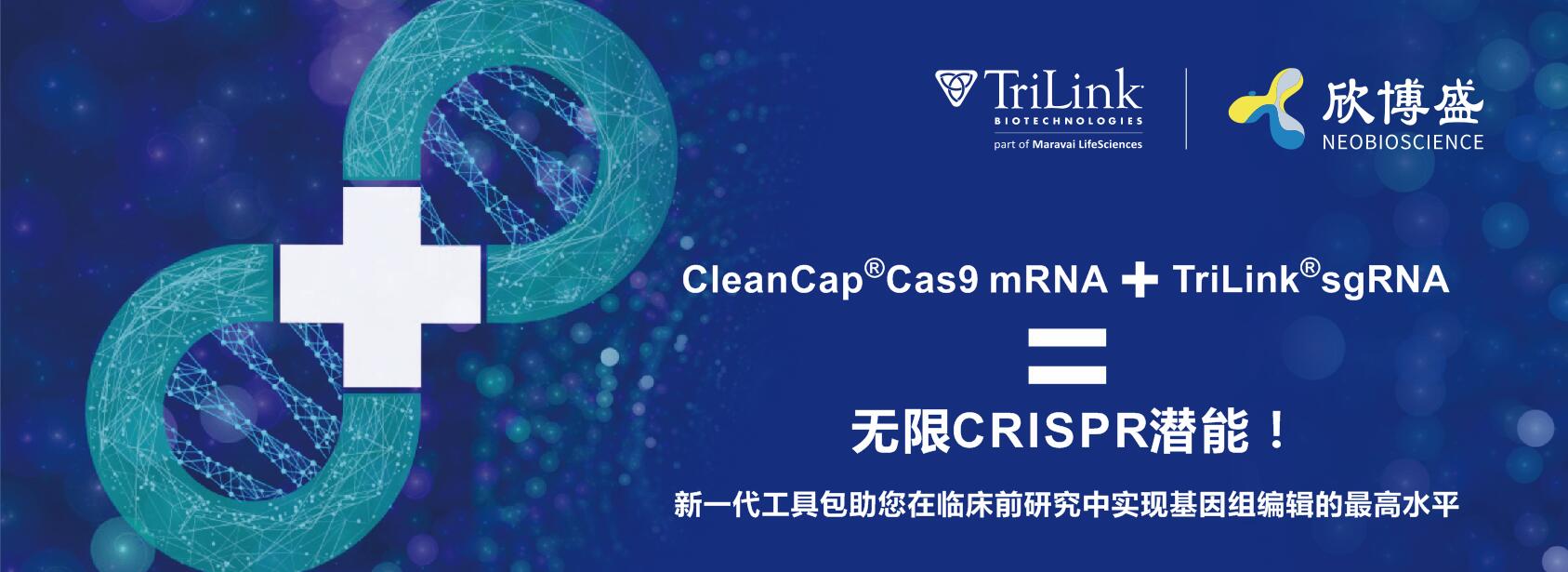 CleanCap®Cas9 mRNA +TriLink®sgRNA=无限CRISPR潜能！
