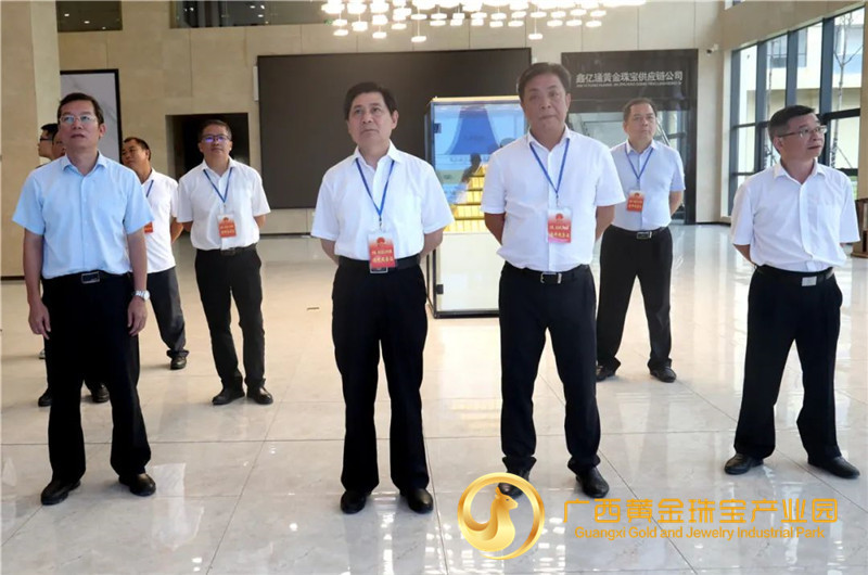 驻桂全国人大代表和自治区人大代表到平桂开展年中专题调研