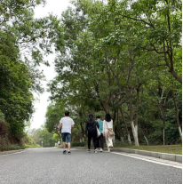 办公室团队组织黄山鲁森林公园登顶活动