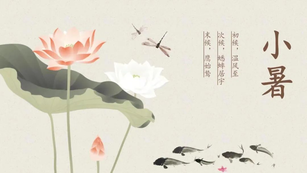 二十四節氣丨倏忽溫風至，因循小暑來