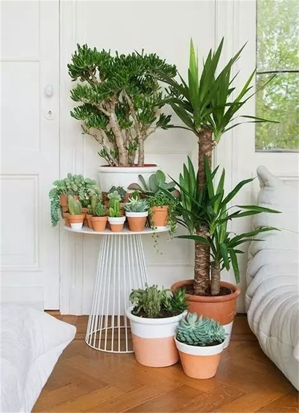 把植物种在这样的花盆里，你有考虑过植物的感受吗？