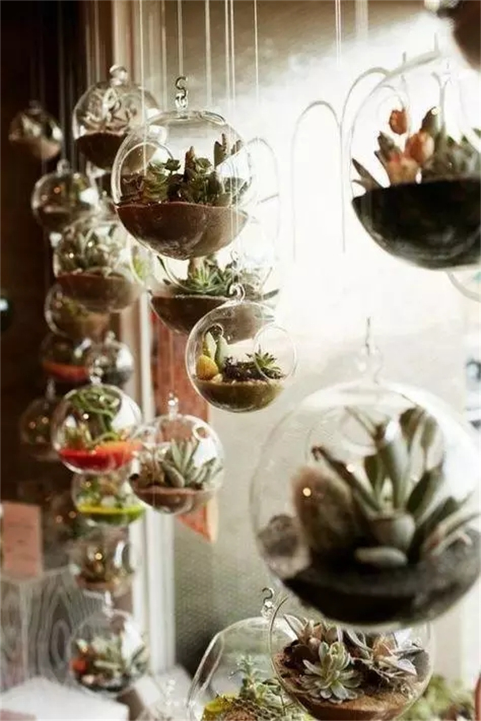 把植物种在这样的花盆里，你有考虑过植物的感受吗？