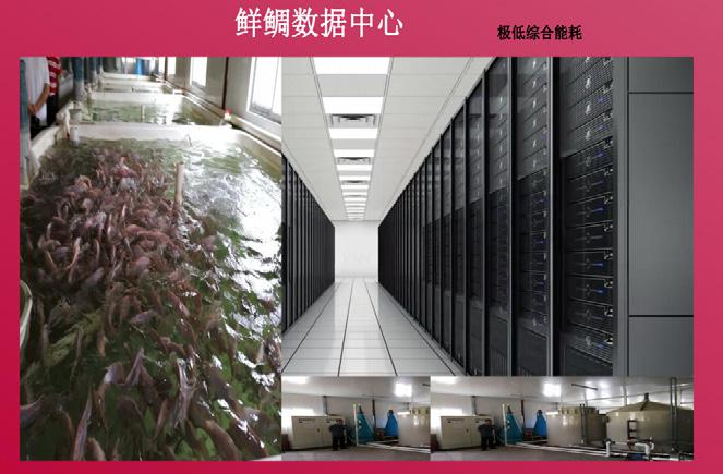 品牌工程入选项目 品牌工程入选项目