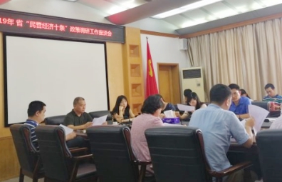 广东省“民营经济十条”政策评估优化项目
