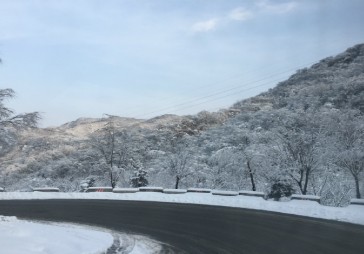 从人工检测到自动在线检测，是发展的必然趋势
