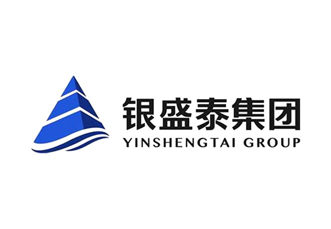 银盛泰集团