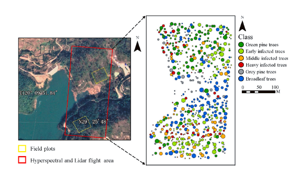 Resonon | Using UAV-based hyperspectral imagery and LiDAR data to detect pine wilt disease 