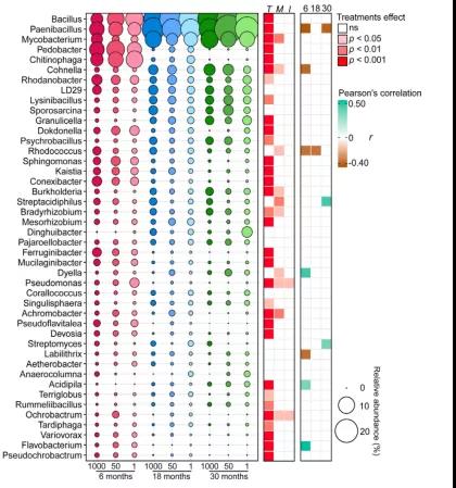 北方森林中根系的存在改变了真菌残体和相关微生物群落的长期分解动态