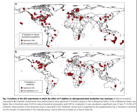 自然陆地生态系统地上植物生产力普遍受到磷限制