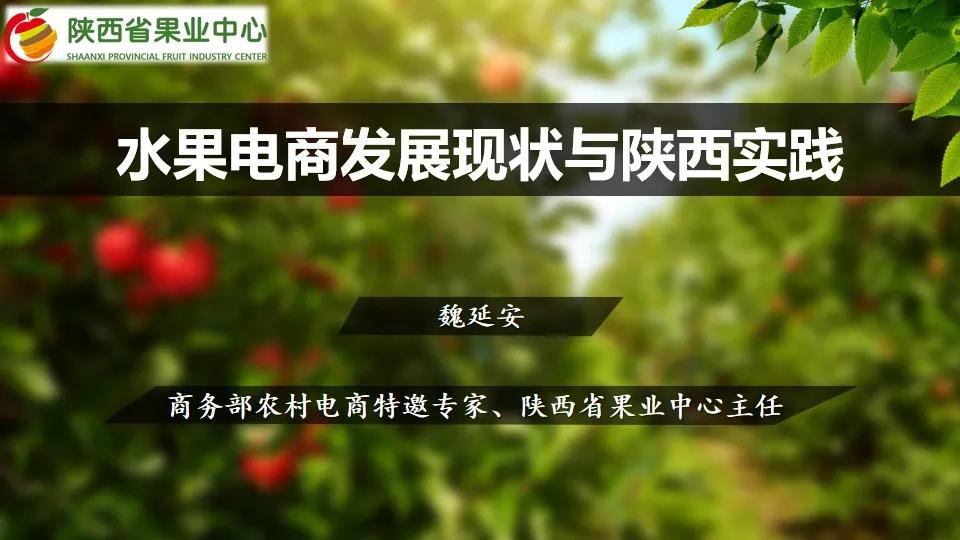 魏延安：全国1354个水果区域公用品牌，2021上半年电商销售783.36亿！（附PPT）