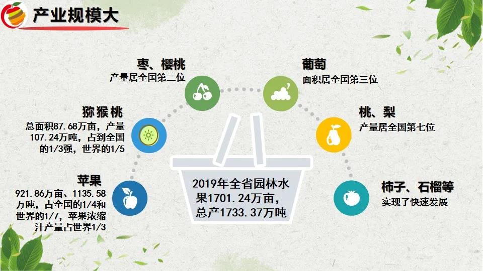 魏延安：全国1354个水果区域公用品牌，2021上半年电商销售783.36亿！（附PPT）