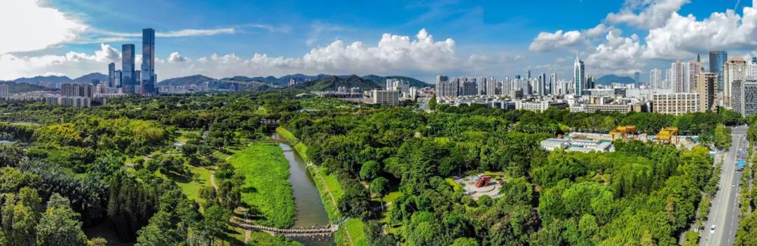新赶考路上,奔跑深圳正青春 新赶考路上,奔跑深圳正青春