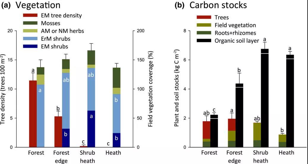 森林扩展到苔原的碳储存临界点与菌根氮循环有关