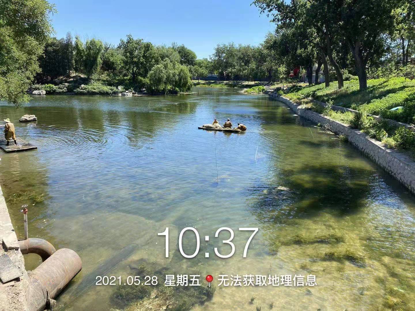 黑臭和高藻水体治理技术——生态修复技术介绍