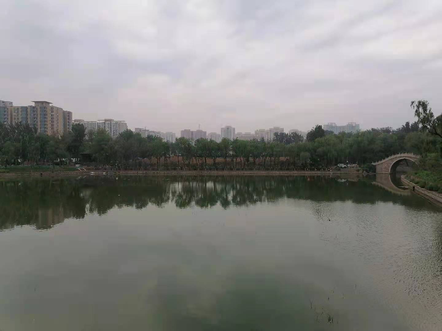黑臭和高藻水体治理技术——生态修复技术介绍
