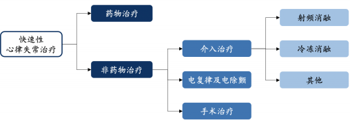 2021年心脏电生理介入器械行业规模前景研究预测及投资竞争战略指导分析   