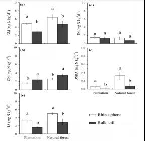 根系調(diào)控微生物氮的過程以實現(xiàn)高寒針葉林根際銨根離子高效供應