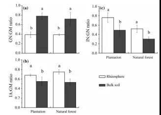 根系調(diào)控微生物氮的過程以實現(xiàn)高寒針葉林根際銨根離子高效供應