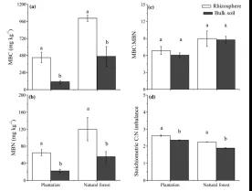 根系調(diào)控微生物氮的過程以實現(xiàn)高寒針葉林根際銨根離子高效供應