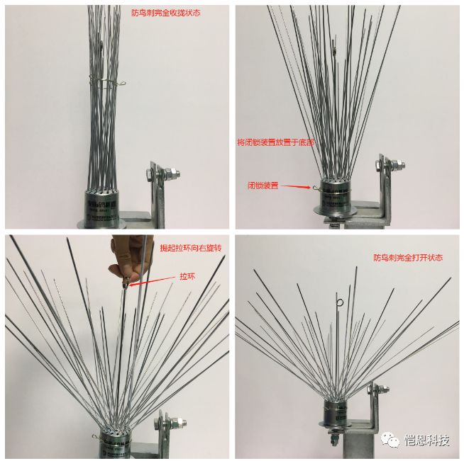 鸟刺安装示意图图片