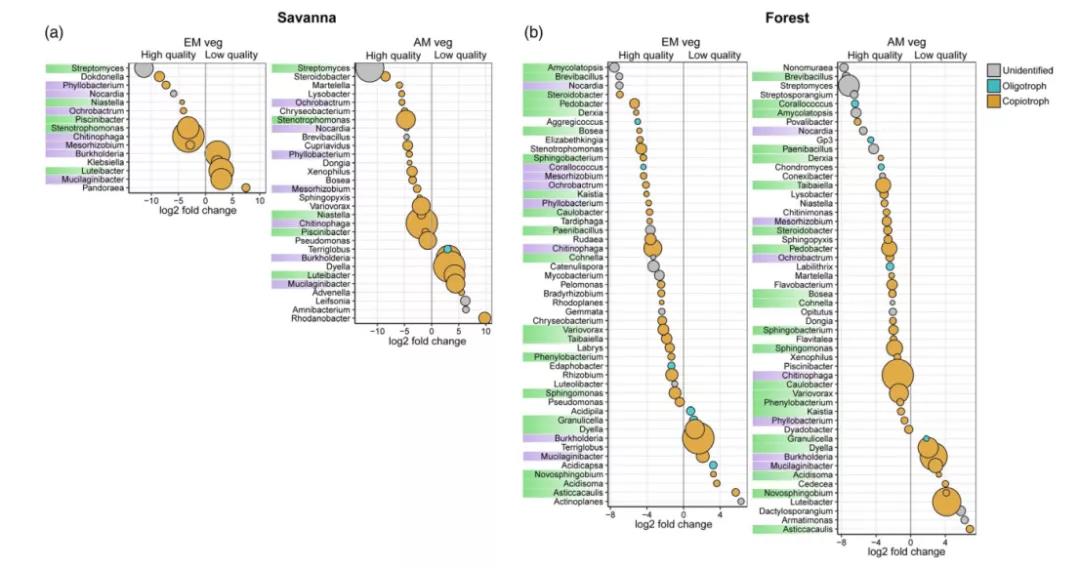 文献解读| 在不同的植被类型中，基质质量驱动真菌残体腐烂和分解者的群落结构