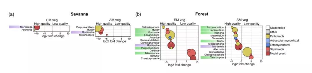 文献解读| 在不同的植被类型中，基质质量驱动真菌残体腐烂和分解者的群落结构