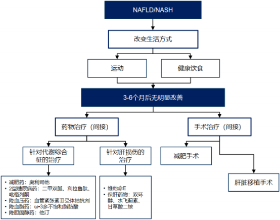 2021年全球及中国非酒精性脂肪肝病药物行业市场规模发展前景预测及重点企业竞争策略研究