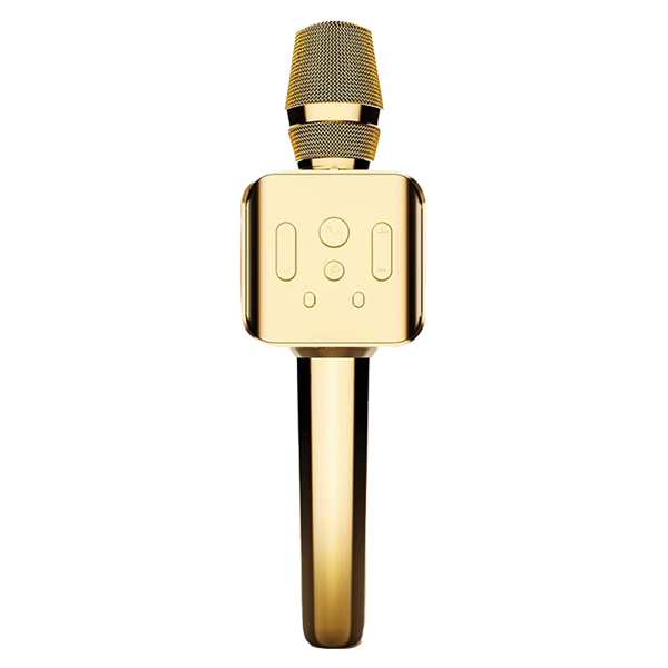 Bluetooth Karaoke