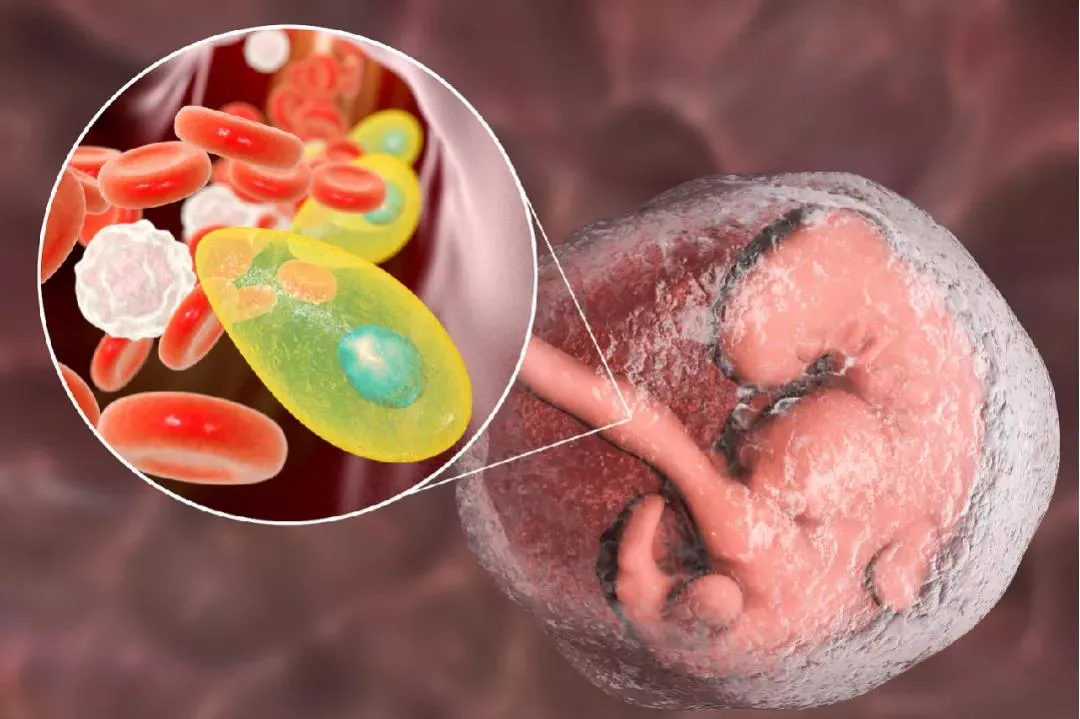 脐带“变废为宝”，储存新生儿干细胞有什么重要作用？