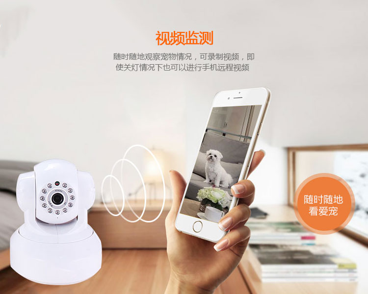 Smart Pet Dog Feeder Solution Development