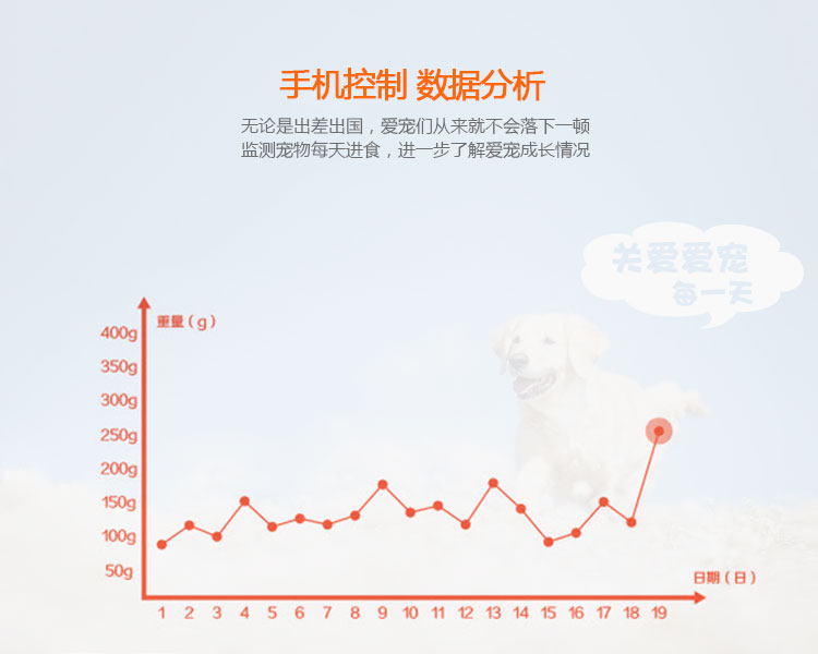 Smart Pet Dog Feeder Solution Development