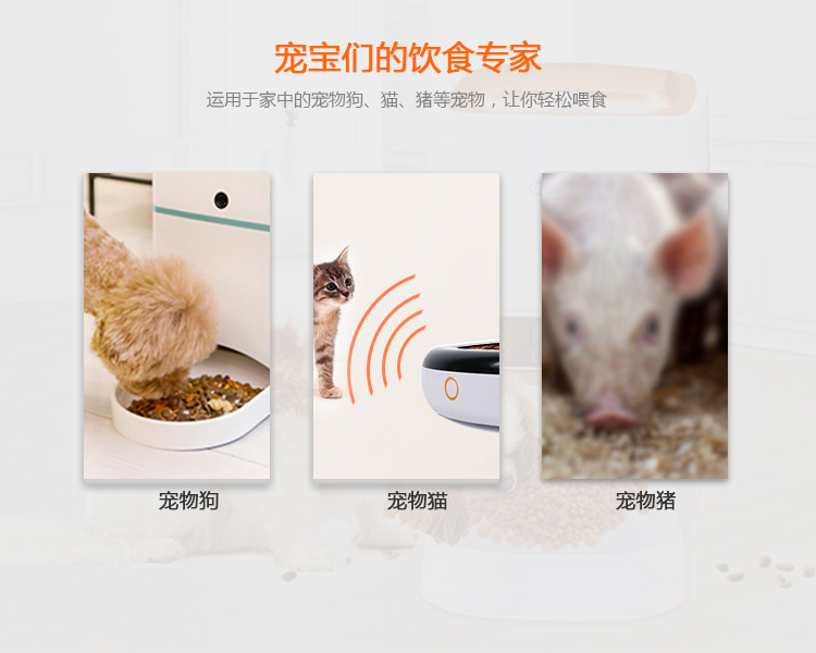 Smart Pet Dog Feeder Solution Development