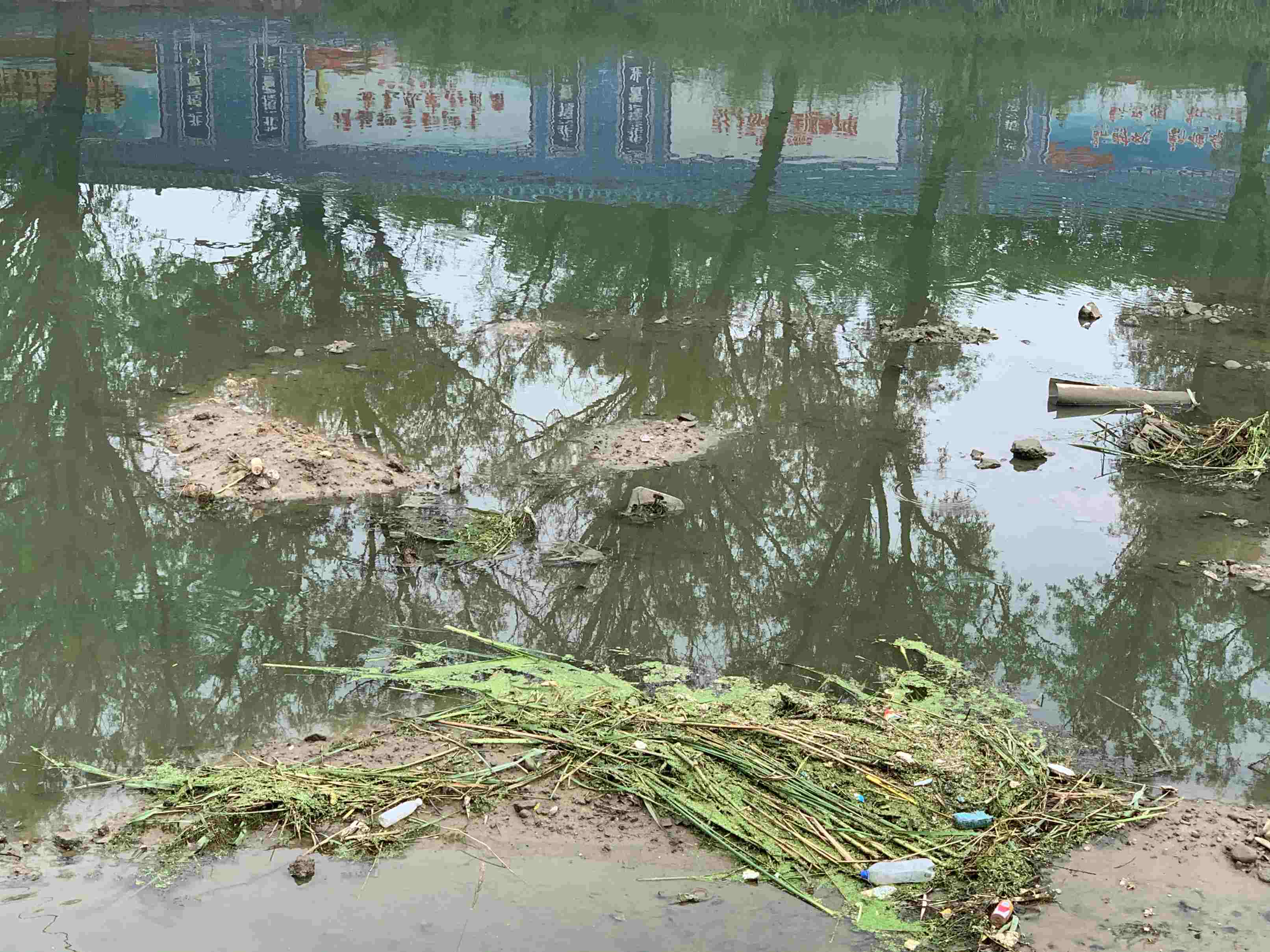 西牤牛河河道断面水质提升工程