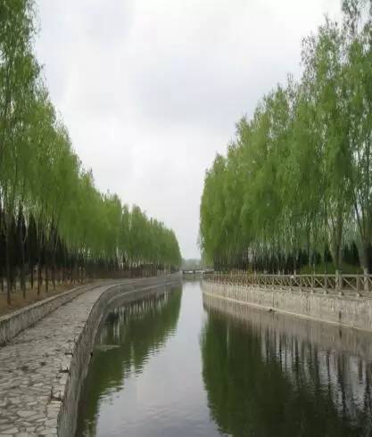 西牤牛河河道断面水质提升工程