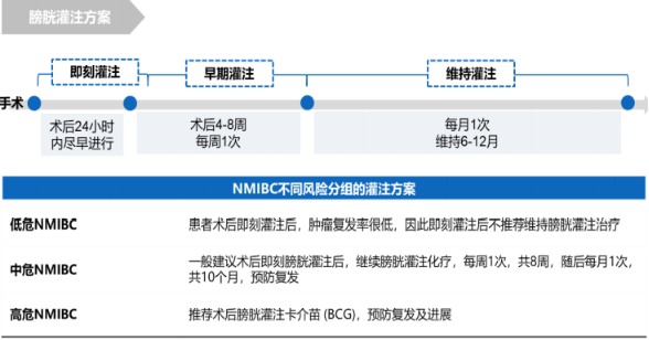 2021年非肌层浸润性膀胱癌（NMIBC）诊疗行业市场需求前景预测及投资建议规划评估预测