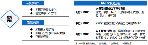 2021年非肌层浸润性膀胱癌（NMIBC）诊疗行业市场需求前景预测及投资建议规划评估预测