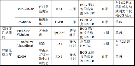 2021年非肌层浸润性膀胱癌（NMIBC）诊疗行业市场需求前景预测及投资建议规划评估预测